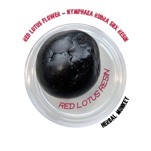 Red Lotus Soft Resin 50X Extract | Nymphaea Rubra