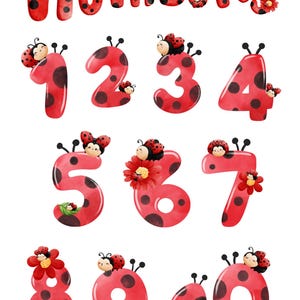 Ladybug Alphabet Poster size A3 Printable