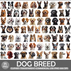 Può includere: Una raccolta di 71 immagini PNG raffiguranti varie razze di cani. Le immagini mostrano una varietà di cani, ognuno con caratteristiche e colori unici. Il testo "DOG BREED" è visualizzato in basso, insieme a "CLIPART-TRANSPARENT-COMMERCIAL USE-PNG-300 DPI".