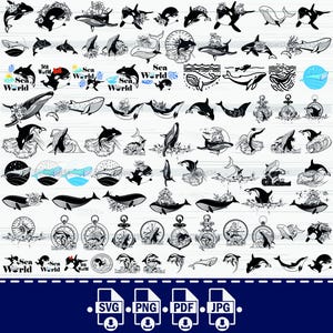 Bundle SVG baleine, n° 1, svg orque orque, png baleine, vecteur baleine, baleine coupe fichiers, svg baleine, clipart baleine, svg animaux marins, svg queue de baleine