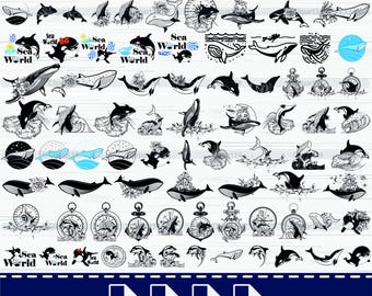 Paquete SVG de ballena: Orca, cola y animales marinos (descarga digital)