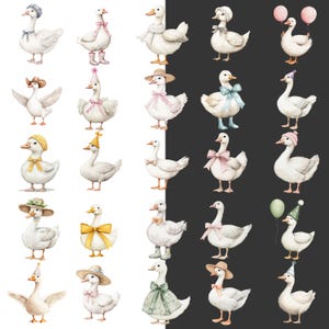 May include: Watercolor illustration of white geese, each adorned with unique accessories. Some wear hats, bows, scarves, and boots. One goose holds balloons. The geese are set against a white and black background.