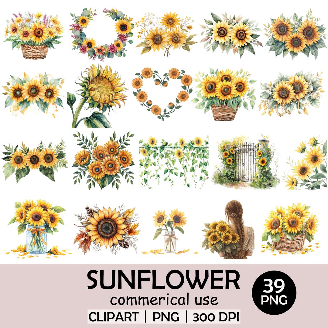 Sunflower Watercolor Clipart Bundle: 39 PNG Floral Illustrations ...