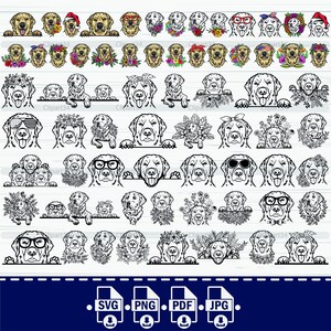 Golden Retriever SVG Bundle, PNG, Cute Dogs Clipart, Ilustração vetorial de cachorro espreitando Arquivos SVG para gravação a laser arquivo de corte goldie retriever