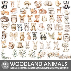 Può includere: Una collezione di 60 immagini clipart di animali del bosco ad acquerello, tra cui volpi, conigli, scoiattoli e orsi. Le illustrazioni sono in colori tenui e sono adatte a vari progetti creativi. Il testo "WOODLAND ANIMALS" è visualizzato in basso.