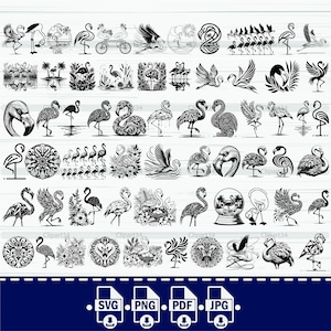 Flamingo SVG Bundle: 63 Designs, kommerzielle Nutzung (Digital Download)