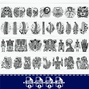 Floral Skelett Teile SVG, Floral Spine Anatomy SVG, Halloween Skelett svg, Floral Skull svg, Skelett Clipart, menschliche Knochen svg svg cut-Datei