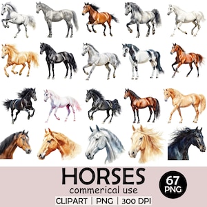 Realistisches Pferd Clipart Bundle, 67 PNG Aquarell Pferde, laufende Pferdesublimation, wilde Pferdeillustrationen, kommerzielle Nutzung