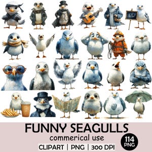 K&ouml;nnte beinhalten: Eine Sammlung von Aquarellillustrationen von Cartoon-M&ouml;wen in verschiedenen Posen und Outfits. Einige M&ouml;wen tragen H&uuml;te, M&auml;ntel und Brillen. Der Text "FUNNY SEAGULLS" steht unten, zusammen mit "commercial use", "CLIPART | PNG | 300 DPI".