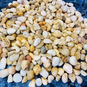 Barnegat Bay Gold Pea Sized Natural Ocean Pebbles for use in planters, terrariums, aquariums.  4+ LBS Packaged in re-useable container.