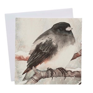 Junco - Carte de voeux Snowbird