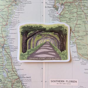Retro Ormond Beach Loop Drive Aufkleber - Malerischer Florida Road Trip Aufkleber - Vintage Travel Vibes - Ormond FL ästhetischer Auto-Laptopaufkleber
