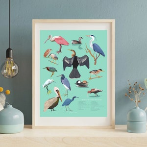 "Fine Art Print/ Vögel der Sumpfgebiete von Florida/ Giclee Print/ Kunst ""Vogel Kunst""