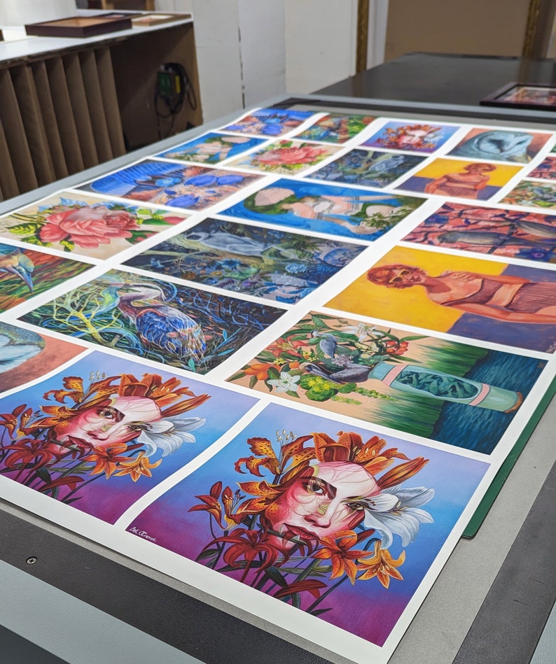 Op de afbeelding: Een verzameling kleurrijke, ingelijste prints met verschillende onderwerpen, waaronder bloemen, vogels en mensen. De prints zijn in rijen op een tafel gerangschikt, waarbij de bovenste rij het meest zichtbaar is. De prints zijn allemaal in verschillende maten en vormen, en ze zijn allemaal ingelijst in eenvoudige zwarte lijsten.