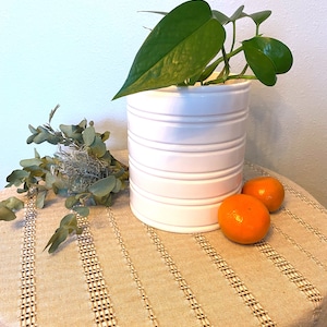 May include: A white ceramic planter with a ribbed design, holding a green potted plant with heart-shaped leaves. Two small orange fruits are on a beige table with a woven pattern.