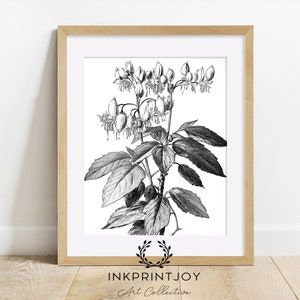 Bleeding Hearts Flower Print | Mother's Day Special Spring | Digital Printable Art | Botanical Style Flowers | Time Ink Sketch