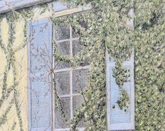 Through the Window: Signed Fine Art Print - colored pencil, window art, ivy art, giclee print