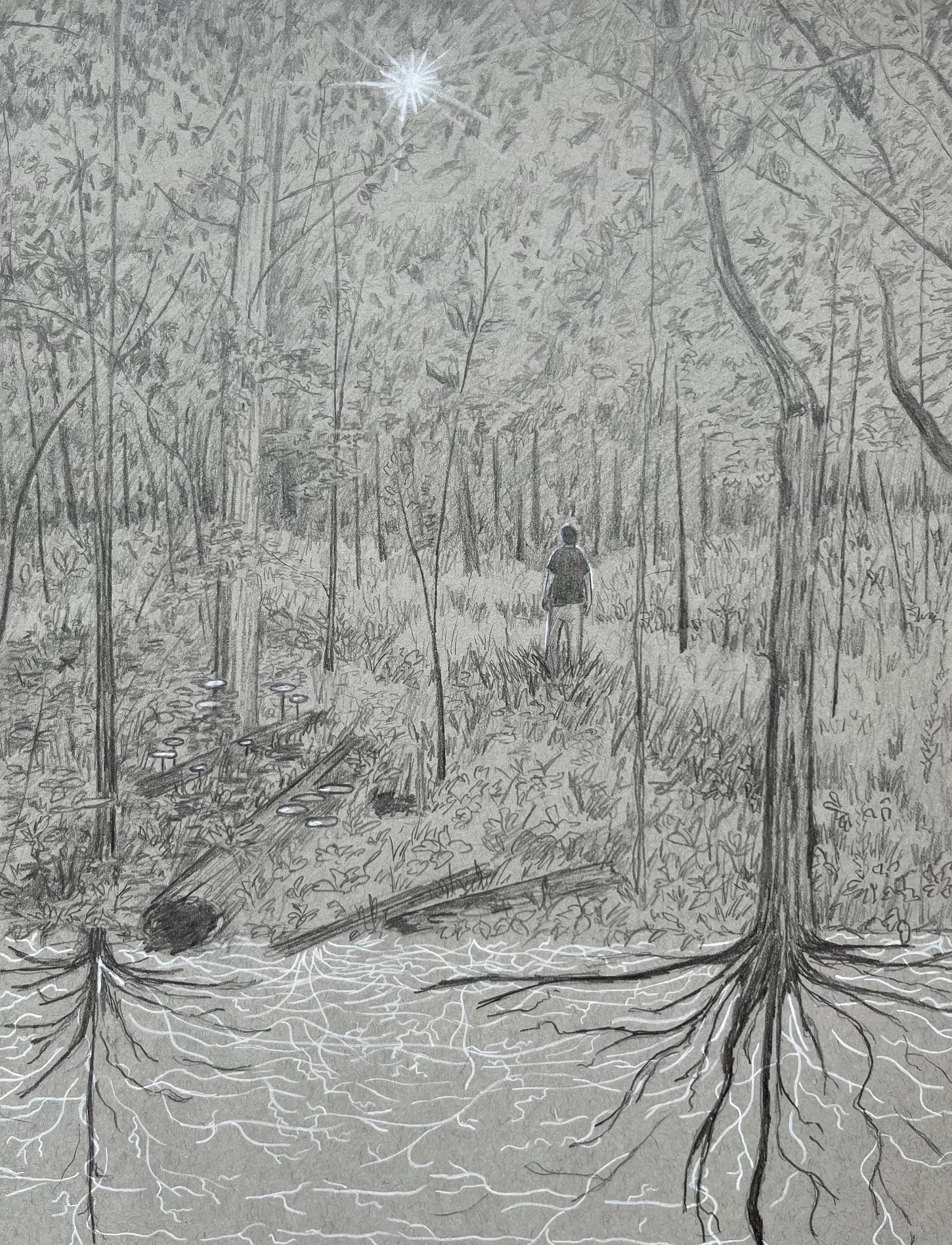Interconnected Earth: Signed Fine Art Print - mycelium, mushroom art, forest art, tree art, giclee print