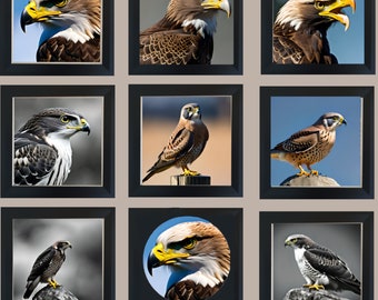 Dez gráficos impressionantes de &#39;aves de rapina&#39;, uma coleção para enfeitar e animar qualquer parede. Fará impressões, pôsteres e cartões incríveis.