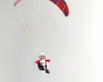 Custom paraglider with custom dog, Felt miniature. Paragliding souvenir MiniMe, interior decor for skydiver. Hanging ornament Paraglider