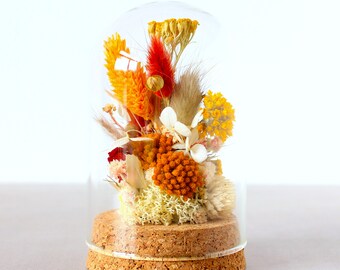 Bell dried and preserved flowers, red / orange / yellow / beige color