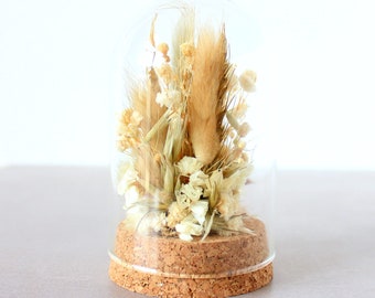 Dried and preserved flower bell, beige/white color