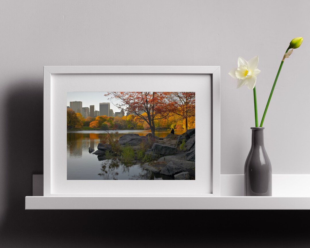 New York Wall Art Central Park Photo Print New York City Etsy