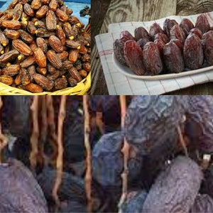 Naturally Grown Jerusalem Dates - Unique Flavor!,Jerusalem Dates,Health and Flavor Combined!Jerusalem Dates: Flavor Straight from Holy Lands