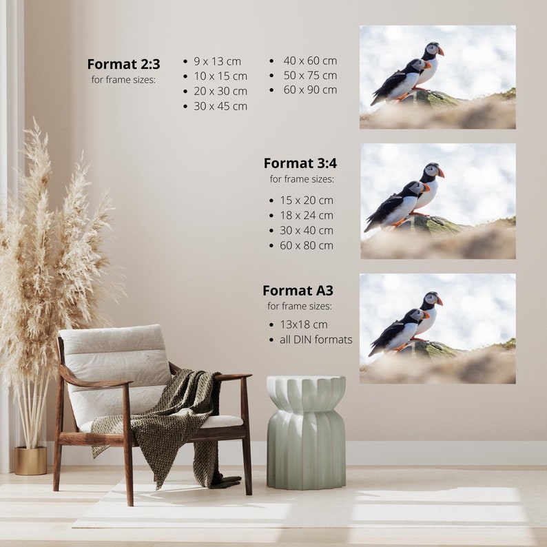 Puffins Photo, (digital) / Wall Art / Print / Poster / Digiprint - Etsy