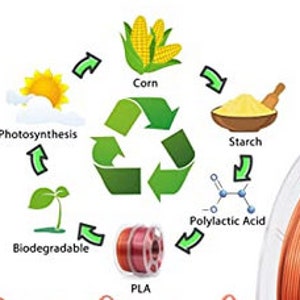May include: Diagram showing the process of creating PLA filament from corn. The diagram shows corn being converted to starch, then to polylactic acid, and finally to PLA filament. The diagram also shows that PLA is biodegradable and made from renewable resources.