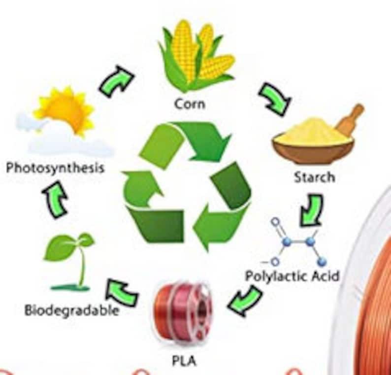 May include: Diagram showing the process of creating PLA filament from corn. The diagram shows corn being converted to starch, then to polylactic acid, and finally to PLA filament. The diagram also shows that PLA is biodegradable and made from renewable resources.