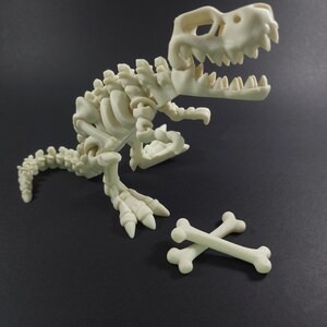 May include: A white plastic dinosaur skeleton toy with a crossbones made of the same material. The dinosaur is posed in a standing position with its mouth open.