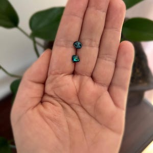 Può includere: Due piccoli orecchini iridescenti a conchiglia di abalone. Uno è rotondo, l'altro quadrato. Gli orecchini sono esposti sul palmo aperto di una persona, con una pianta verde sfocata sullo sfondo. Gli orecchini hanno una combinazione di colori blu, verde e nero.