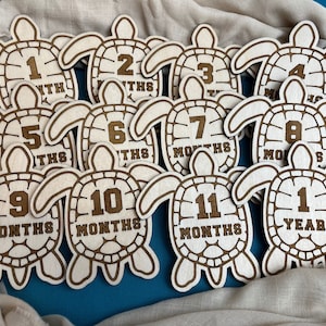 May include: Twelve wooden turtle-shaped baby milestone cards with numbers 1 through 12 and the words "months" or "year" printed on them. The cards are arranged in a semi-circle on a white fabric background.