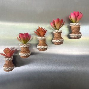 May include: Five small potted succulents with pink flowers are attached to a silver surface with magnets. The pots are made of cork and have a white rope trim.