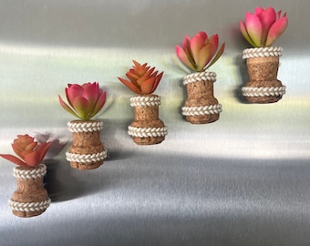 Recuerdos variados para bodas - imanes de corcho con suculentas - imanes de nevera Lux - recuerdos variados para fiestas de estilo rústico - regalo de decoración rústica - decoración boho