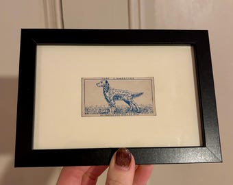 turf cigarette cards Mid Century Framed Antique Blue & White Carreras Card Dog Breeds - Irish Terrier 50 'Turf Personalities Ogden's Cigarette