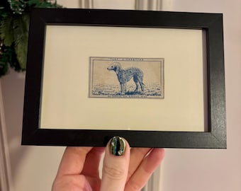 Mid Century Framed Antique Blue & White Carreras Turf Cigarette Card Dog Breeds - Bedlington terrier