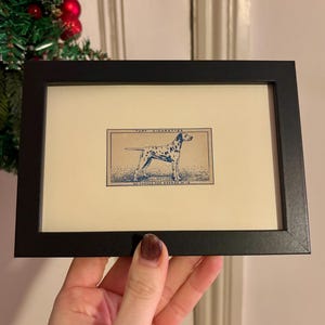 cigarette card frames Framing mount for 50 standard sized cards  Robinhooddirect sunday service  another tennis