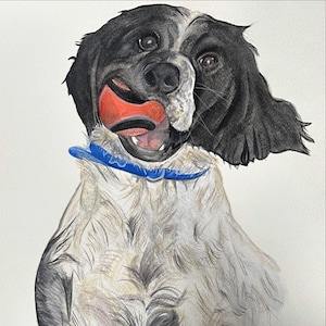 Portraits d'animaux de compagnie à l'aquarelle sur mesure