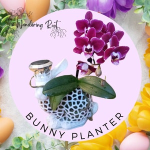 May include: A white bunny planter with a purple orchid plant inside. The planter has a decorative, lacy design. The text "BUNNY PLANTER" is written below the planter.