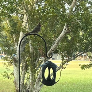 May include: A red cardinal perched on a black metal bird feeder with a black, round, decorative cage hanging from the feeder. The bird feeder is in front of a tree with white bark and green leaves. The background is a green grassy field.