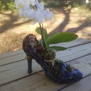 May include: A white orchid plant growing in a blue, high-heeled shoe planter. The shoe is made of a lattice-like material and is filled with moss and soil.