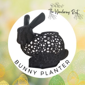 Stanford Bunny Planter
