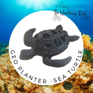 May include: Black sea turtle planter with a geometric design. The planter is made of a durable material and has a large opening for planting. The text "GEO PLANTER - SEA TURTLE" is written around the planter.