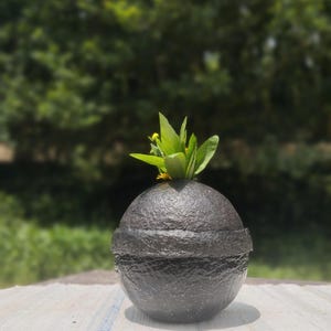 VASO con texture cartapesta.
