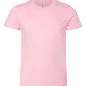 May include: A plain pink short-sleeved t-shirt for kids.