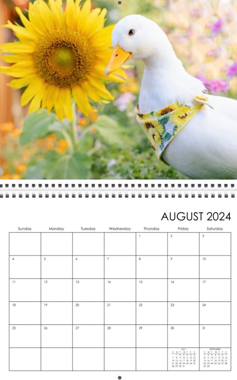 2024 Duck Calendar Etsy