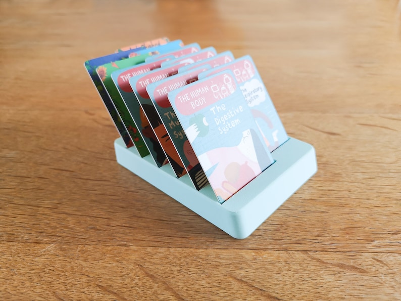 May include: A light blue card holder with a stack of colourful cards featuring illustrations and text about the human body. The cards include titles like "The Human Body", "The Digestive System", and "The Muscular System".