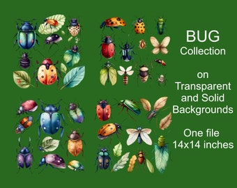 Bug Collection Clipart Images, Solid & Transp Backgrounds, Cool Bug Art, Insect Clipart Elements, Curiosities, Download, Insect PNG